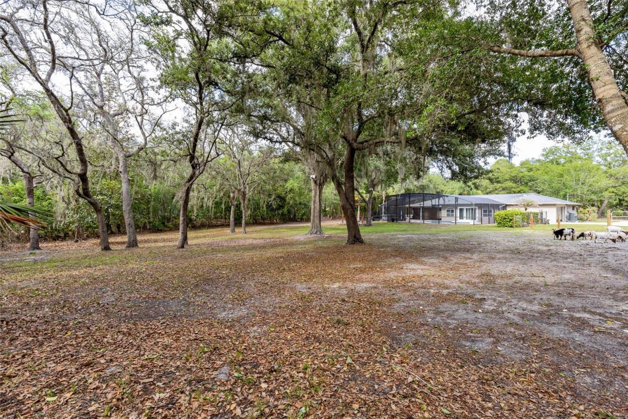 330 Hayes Road , Winter Springs, FL 32708 Photo