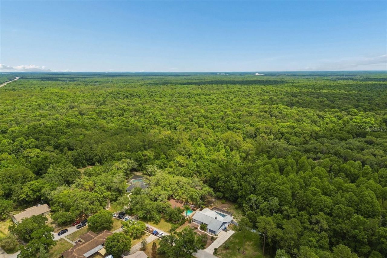 2525 Victarra Circle , Lutz, FL 33559 Photo