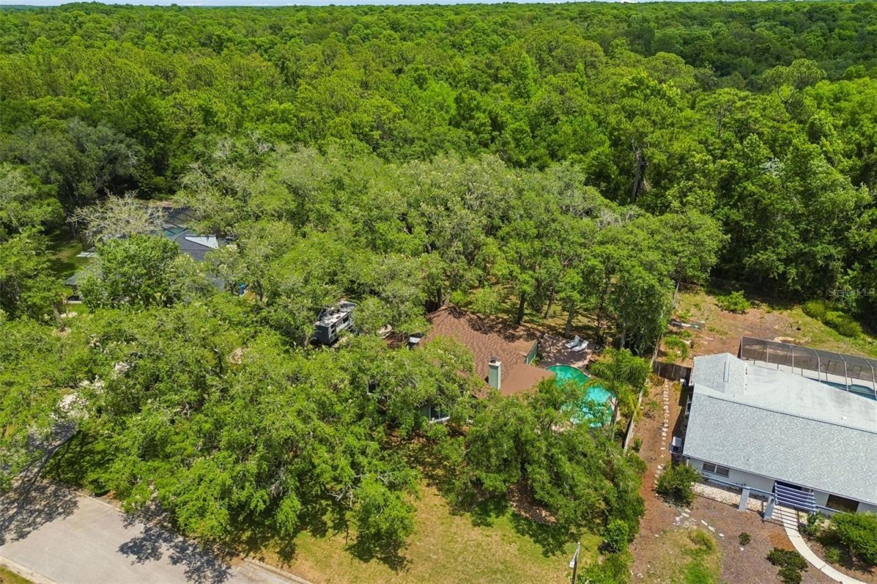 2525 Victarra Circle , Lutz, FL 33559 Photo