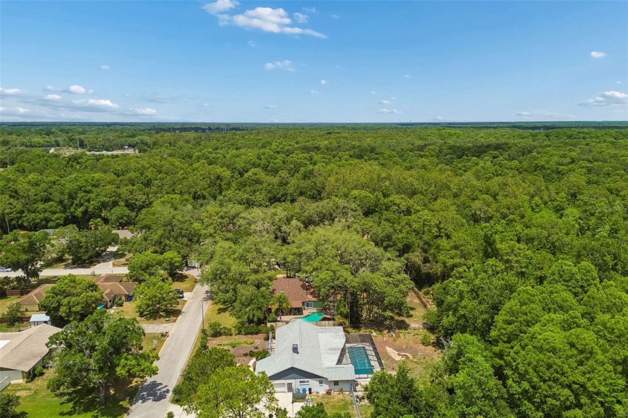 2525 Victarra Circle , Lutz, FL 33559 Photo