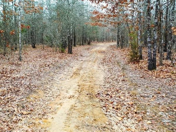 1200 County Road 1255 , Detroit, TX 75436