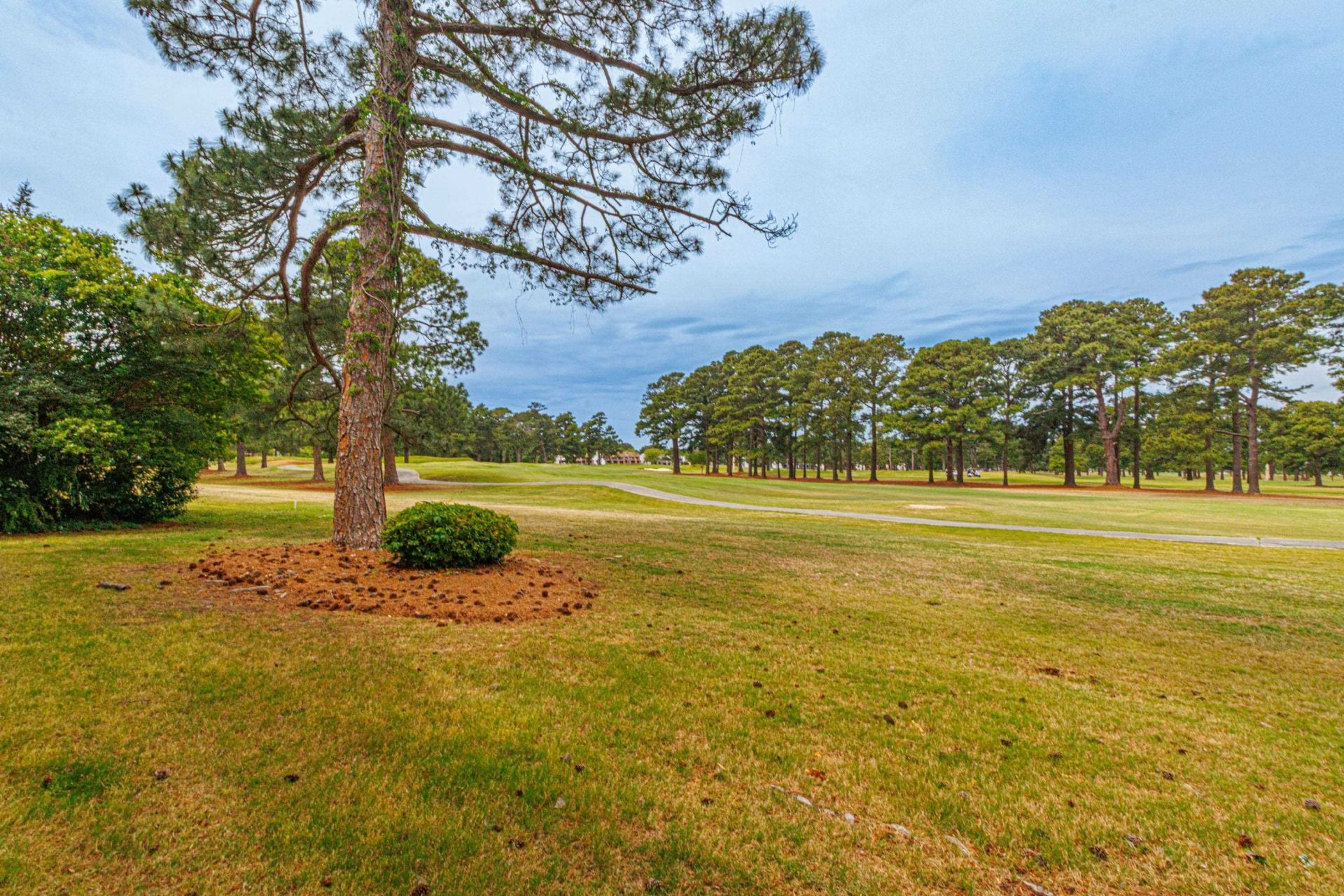 4627 Wild Iris Dr.  Photo 28