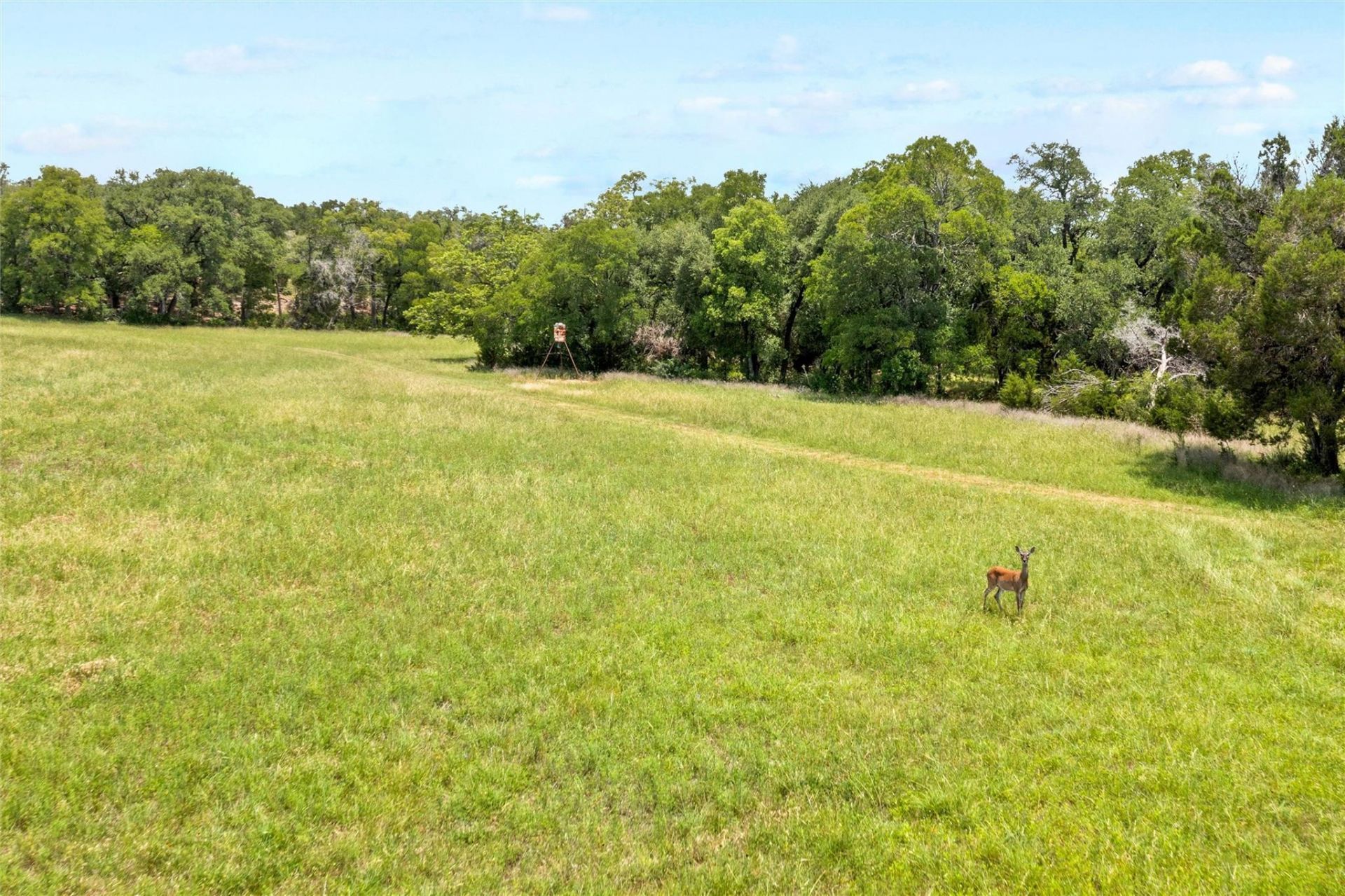 Tbd Posey Ranch Rd , Fischer, TX 78623 Main Photo