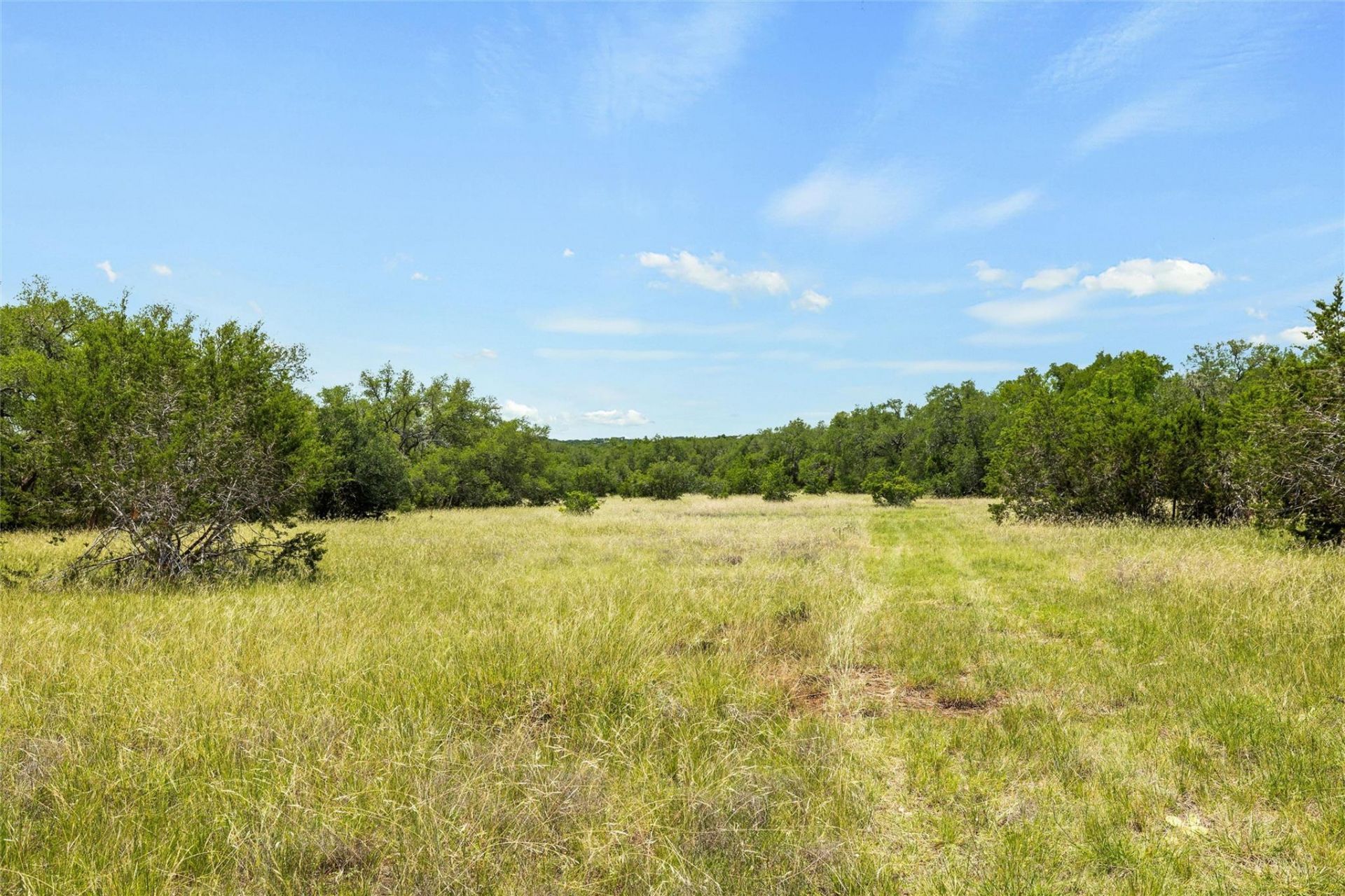 Tbd Posey Ranch Rd, Fischer, TX 78623 Main Photo