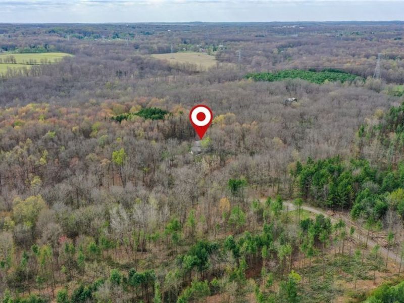 5300 Hayes Road, Ravenna, OH 44266 Photo 12