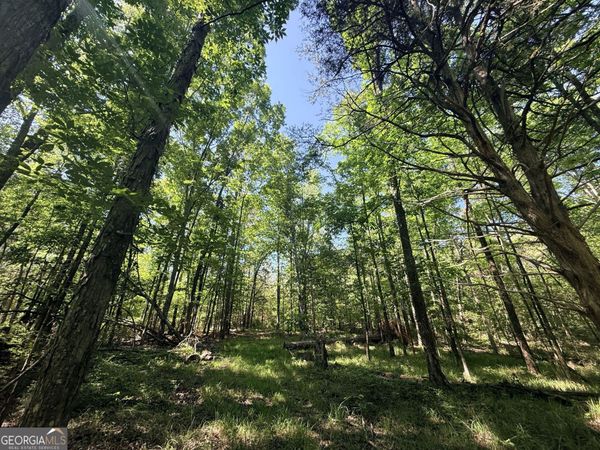 580 Saggus Road, Washington, GA 30673