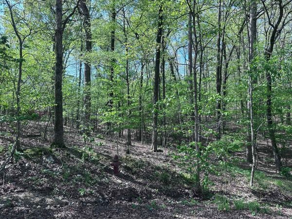 47 Rubi Circle , Hot Springs Village, AR 71909