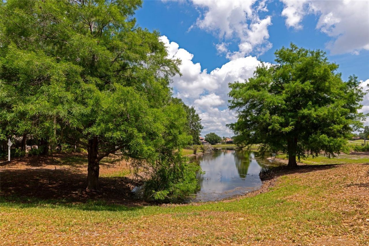 13804 Siena Loop, Lakewood Ranch, FL 34202 Photo