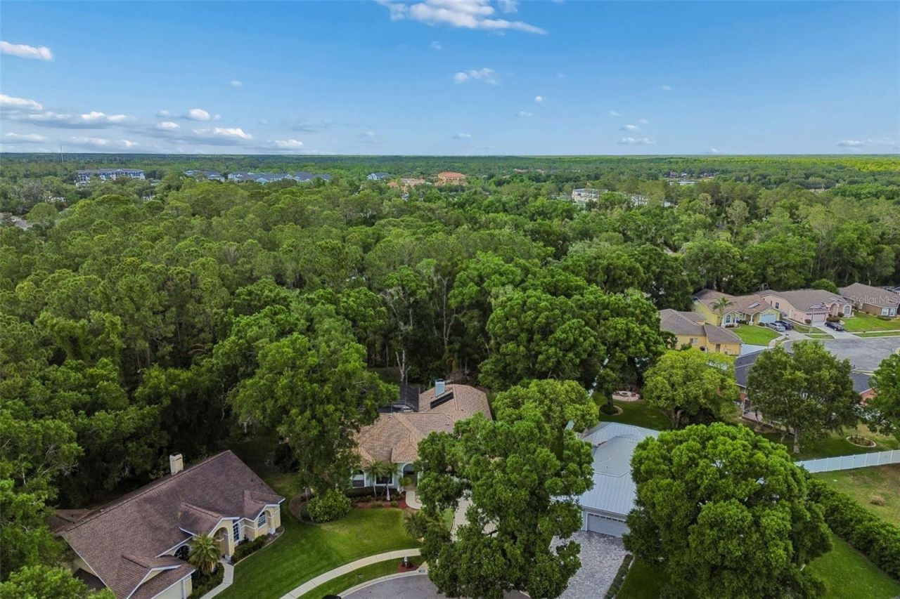1661 Woodridge Court, Lutz, FL 33559 Photo