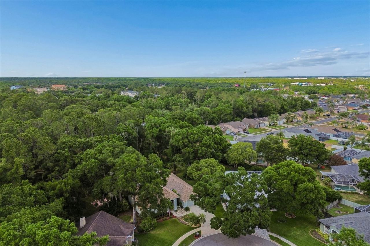 1661 Woodridge Court, Lutz, FL 33559 Photo