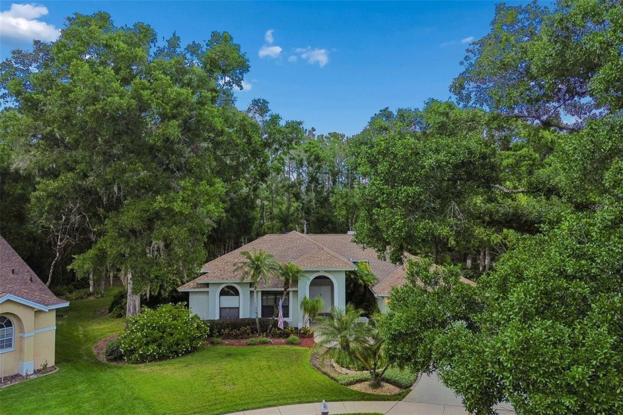 1661 Woodridge Court, Lutz, FL 33559 Photo