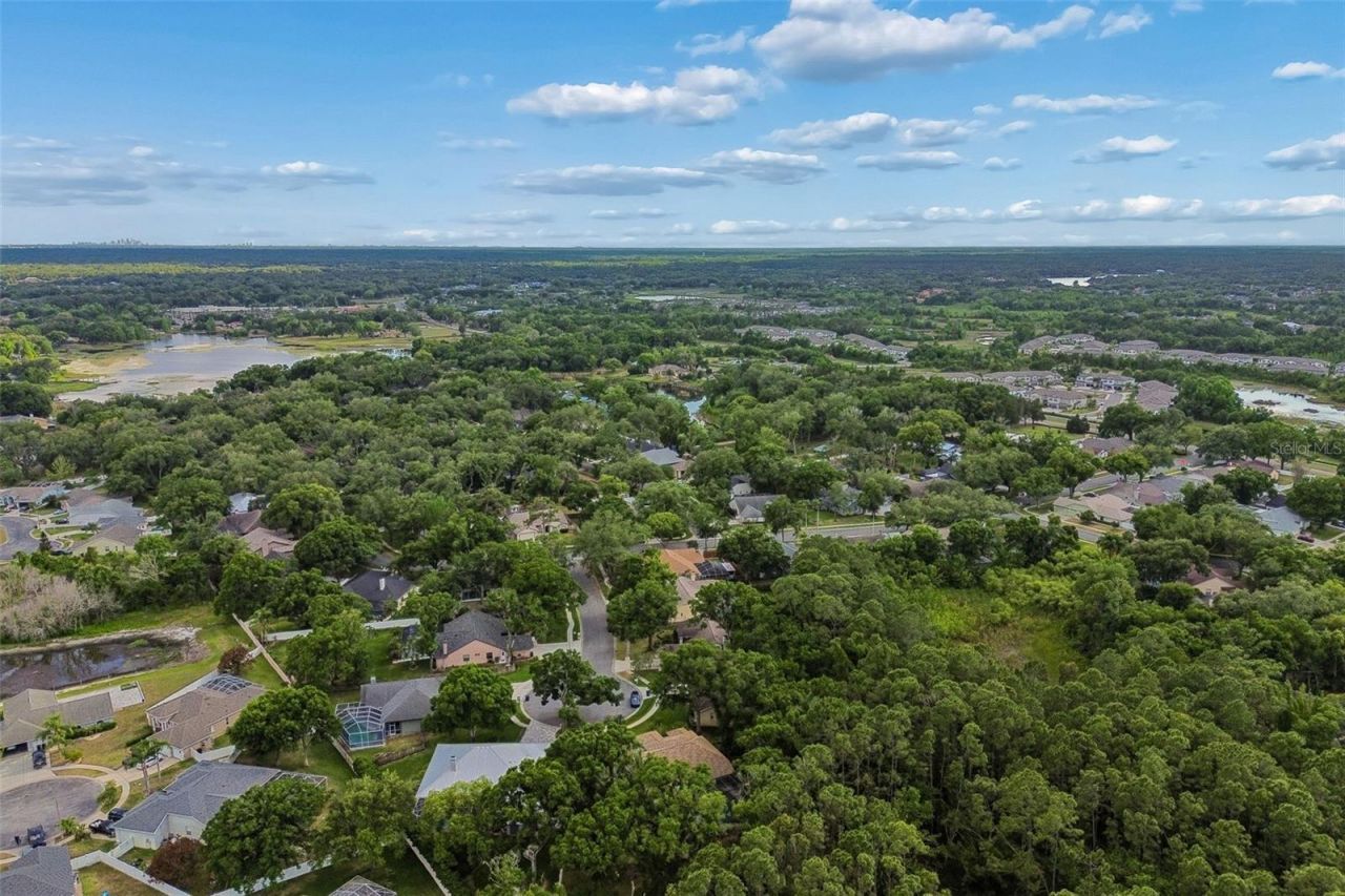 1661 Woodridge Court, Lutz, FL 33559 Photo