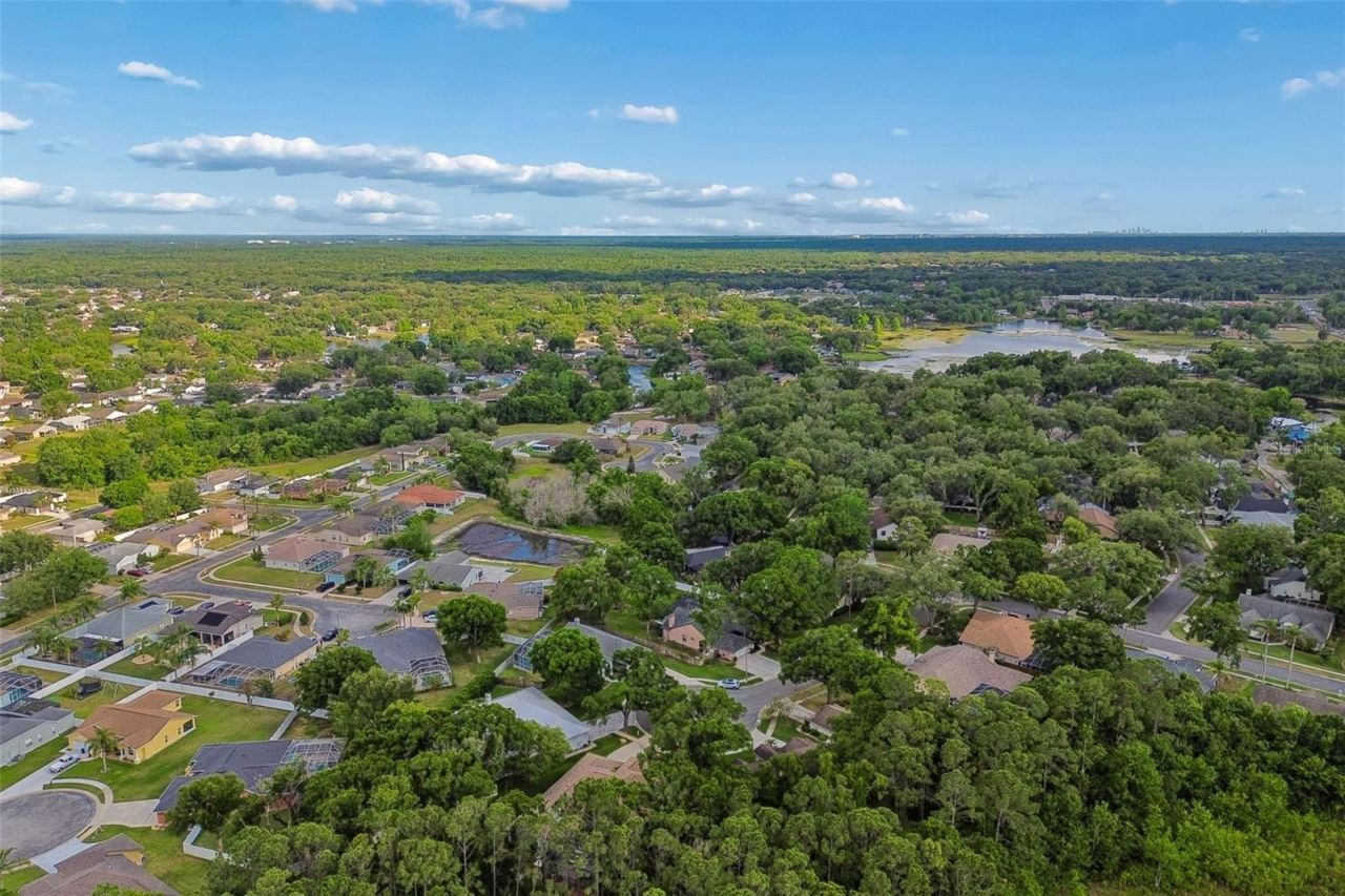 1661 Woodridge Court, Lutz, FL 33559 Photo