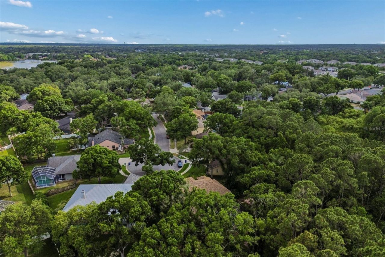 1661 Woodridge Court, Lutz, FL 33559 Photo