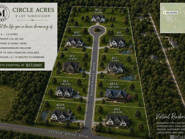 26460 Wagon Wheel Drive, Holden, LA 70744