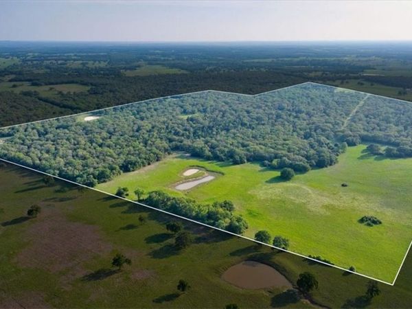 2095 County Road 442, Thrall, TX 76578