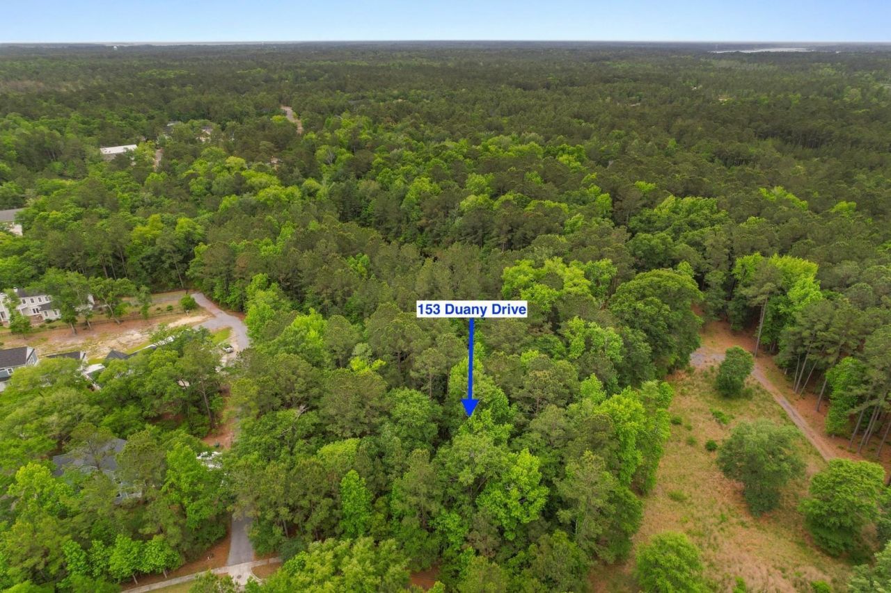 153 Duany Dr. Photo 4