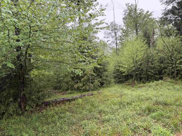 Lot 76 Bassilla Way, Davis, WV 26260