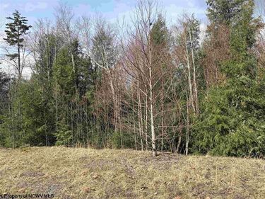 Lot 76 Bassilla Way, Davis, WV 26260