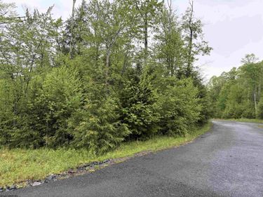 Lot 77 Bassilla Way, Davis, WV 26260
