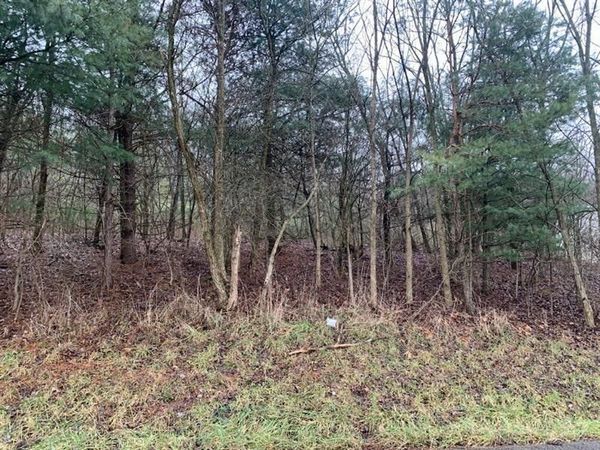 Lot 5 Ringertown Road, Export, PA 15632