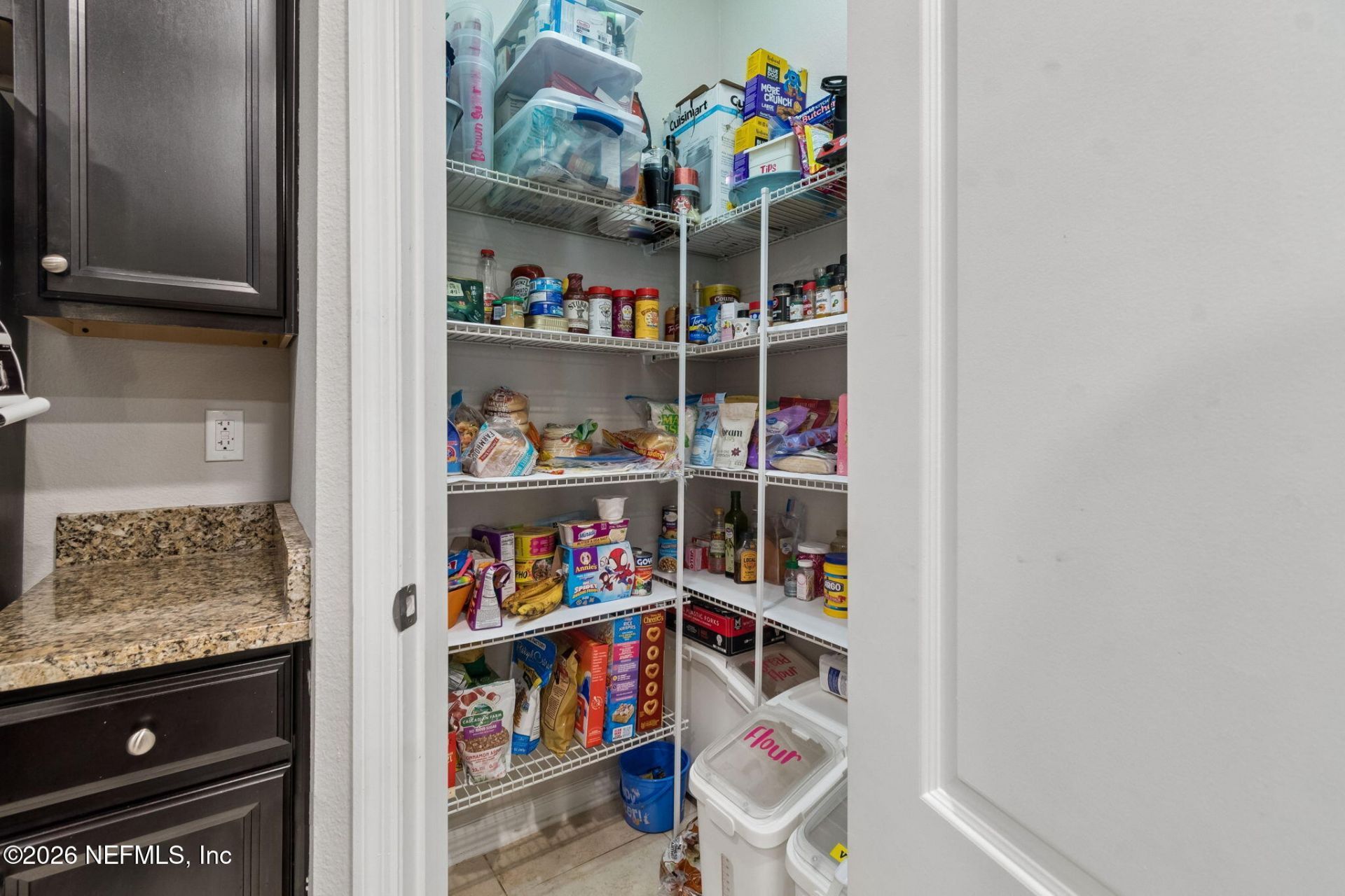 16156 Blossom Lake Drive, Jacksonville, FL 32218 Photo
