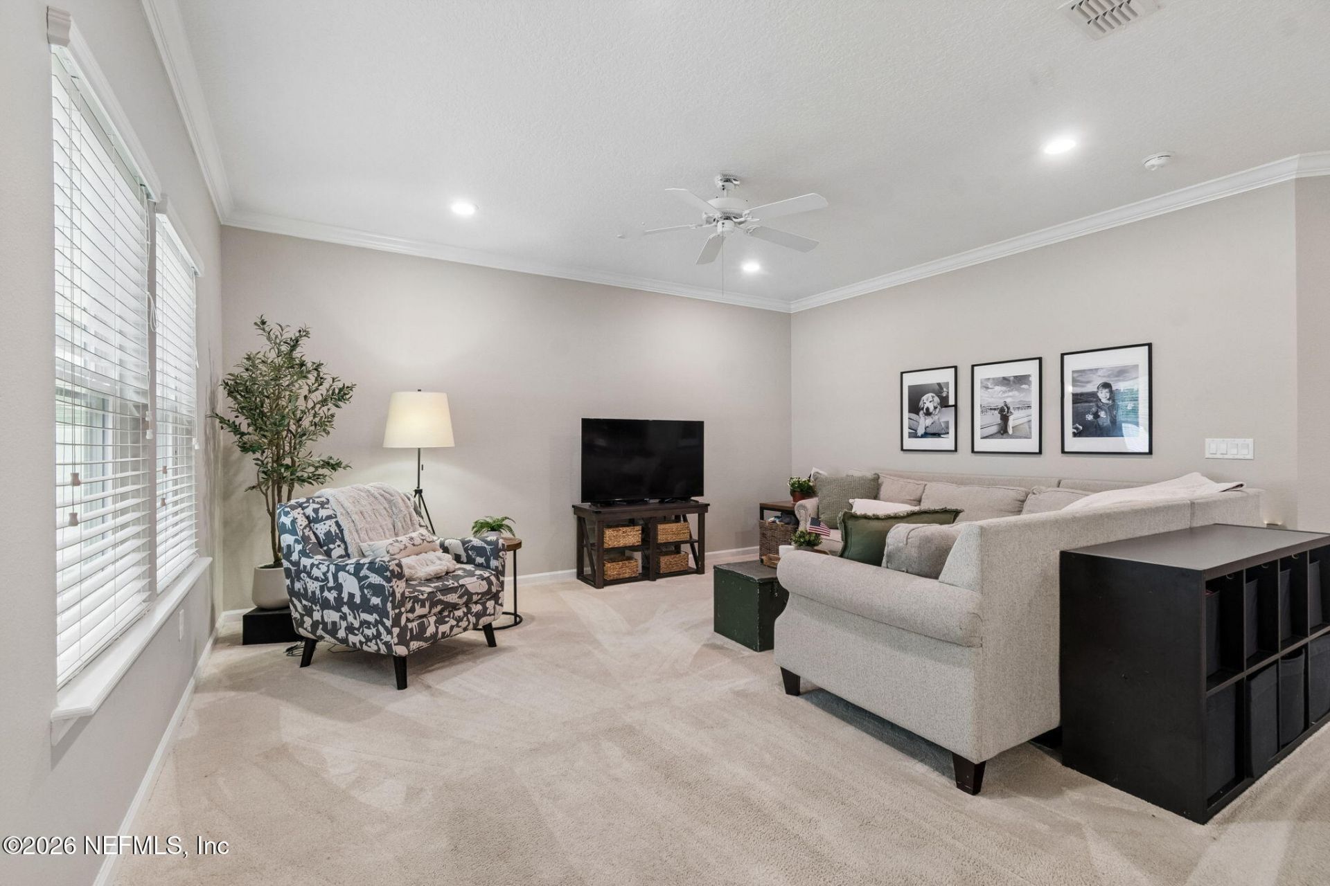 16156 Blossom Lake Drive, Jacksonville, FL 32218 Photo