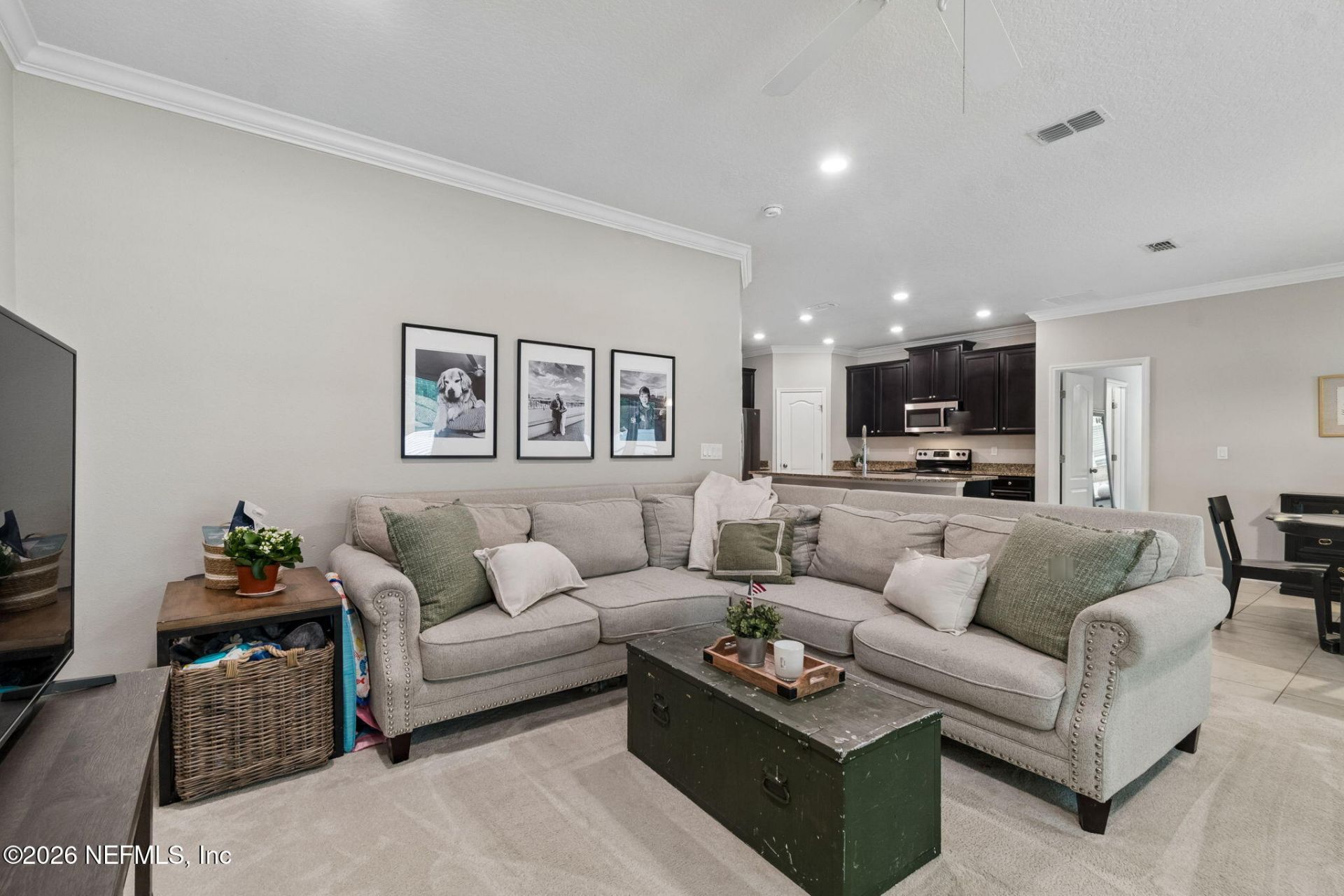 16156 Blossom Lake Drive, Jacksonville, FL 32218 Photo