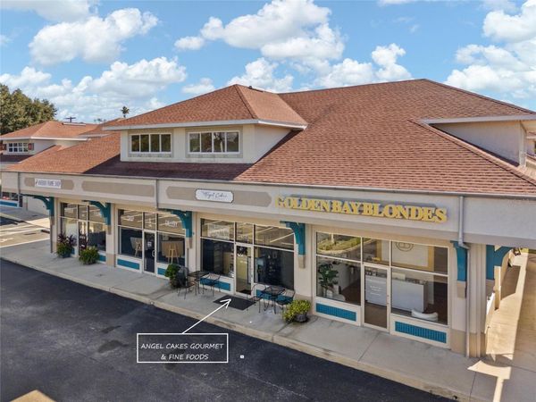 1484 ALTERNATE 19 N, PALM HARBOR, FL 34683