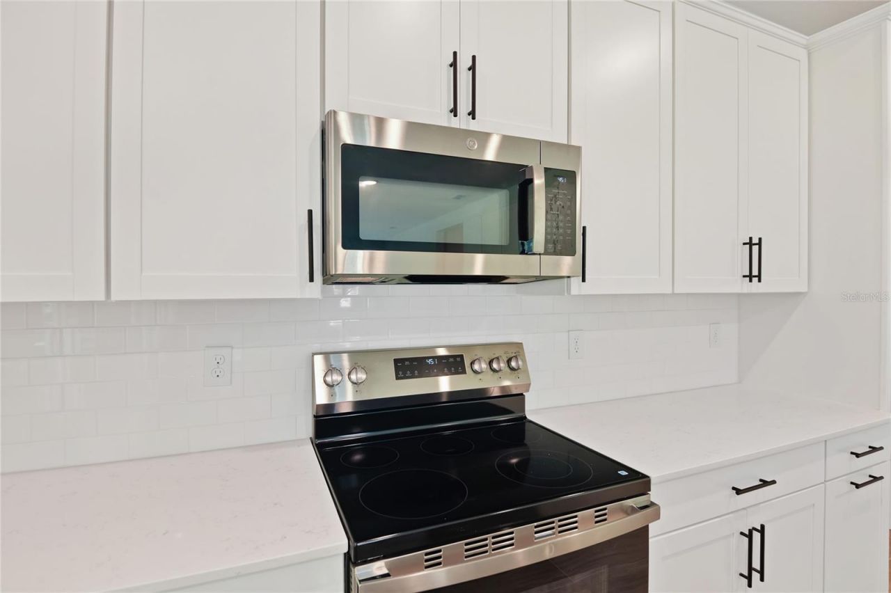 1034 Cloud Ridge Court , Mount Dora, FL 32757 Photo