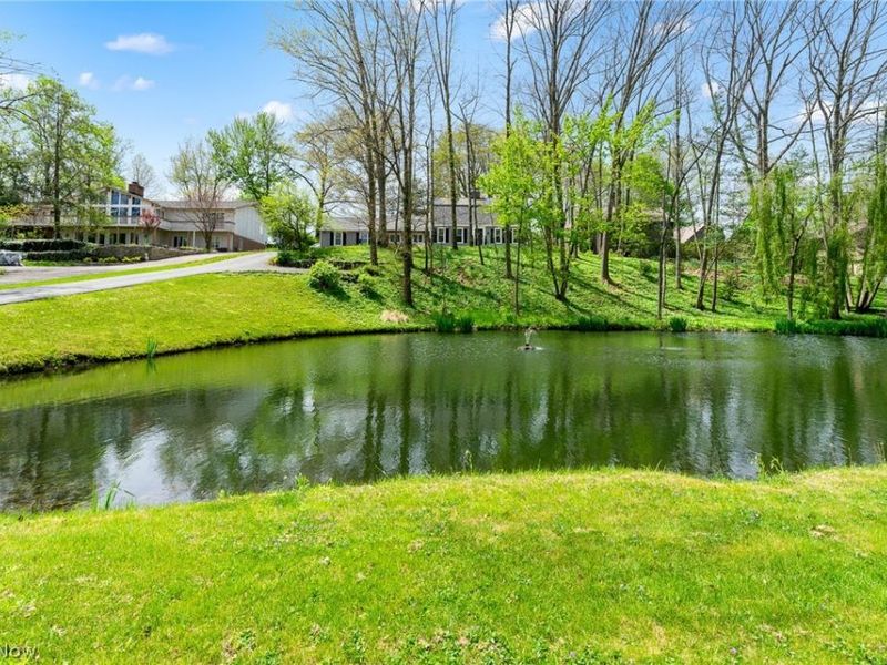 830 Blueberry Hill Drive, Canfield, OH 44406 Photo 4