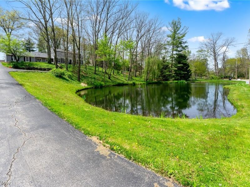 830 Blueberry Hill Drive, Canfield, OH 44406 Photo 5