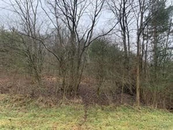 Lot 6 Ringertown Road, Export, PA 15632