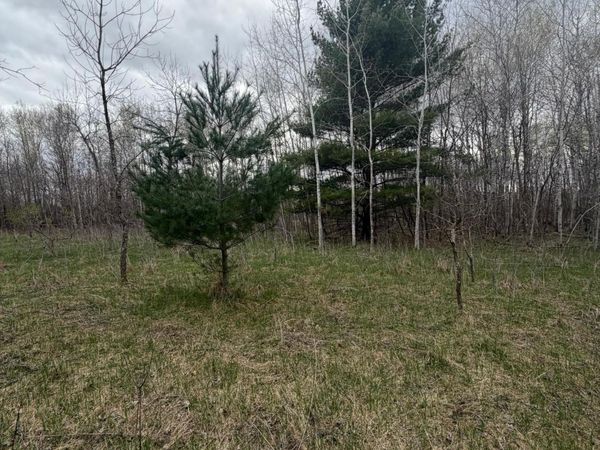 TBD Ottawa , Browerville, MN 56438