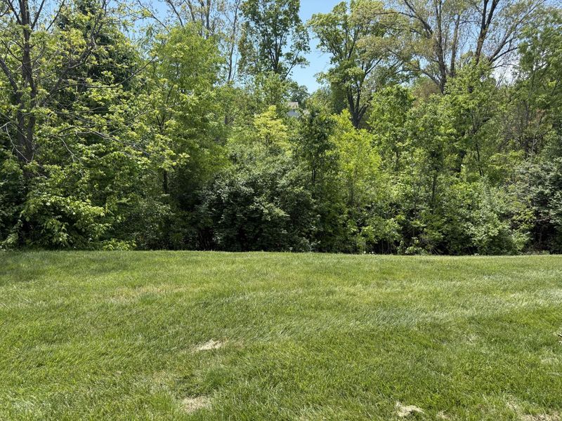 1861 Quarry Oaks Drive, Florence, KY 41042 Photo 27