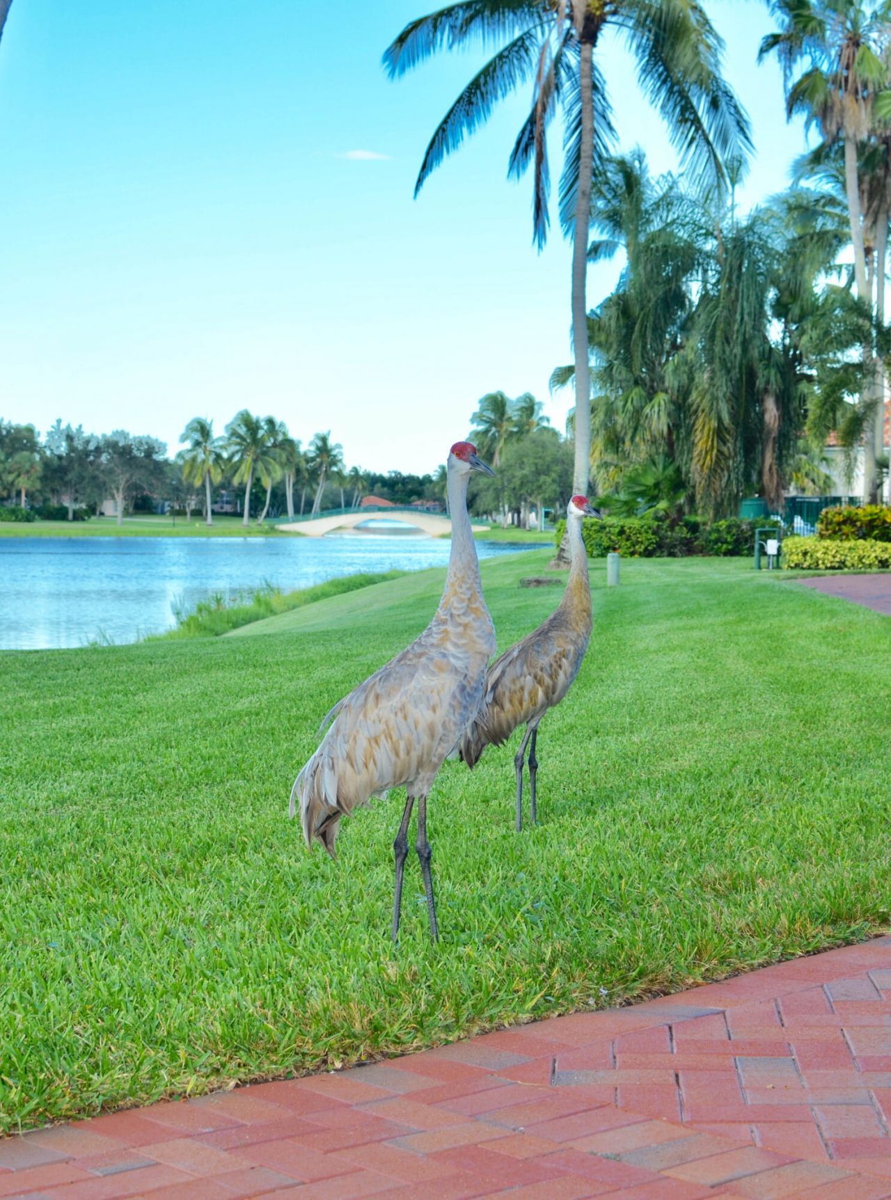 7145 Grassy Bay Drive, West Palm Beach, FL 33411 Photo