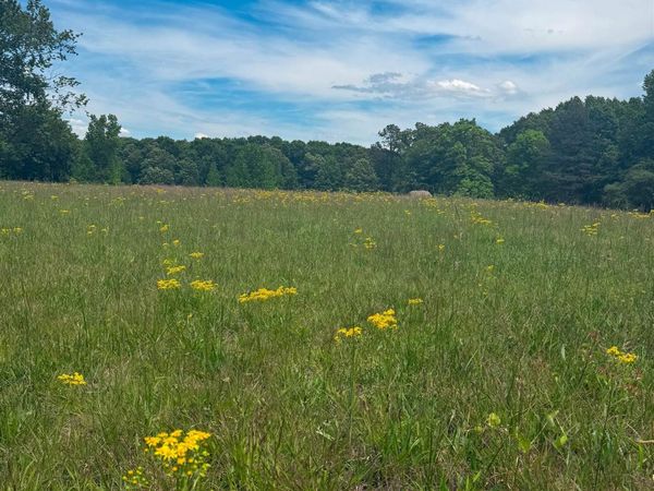 00 Co Rd 11, Florence, AL 35633