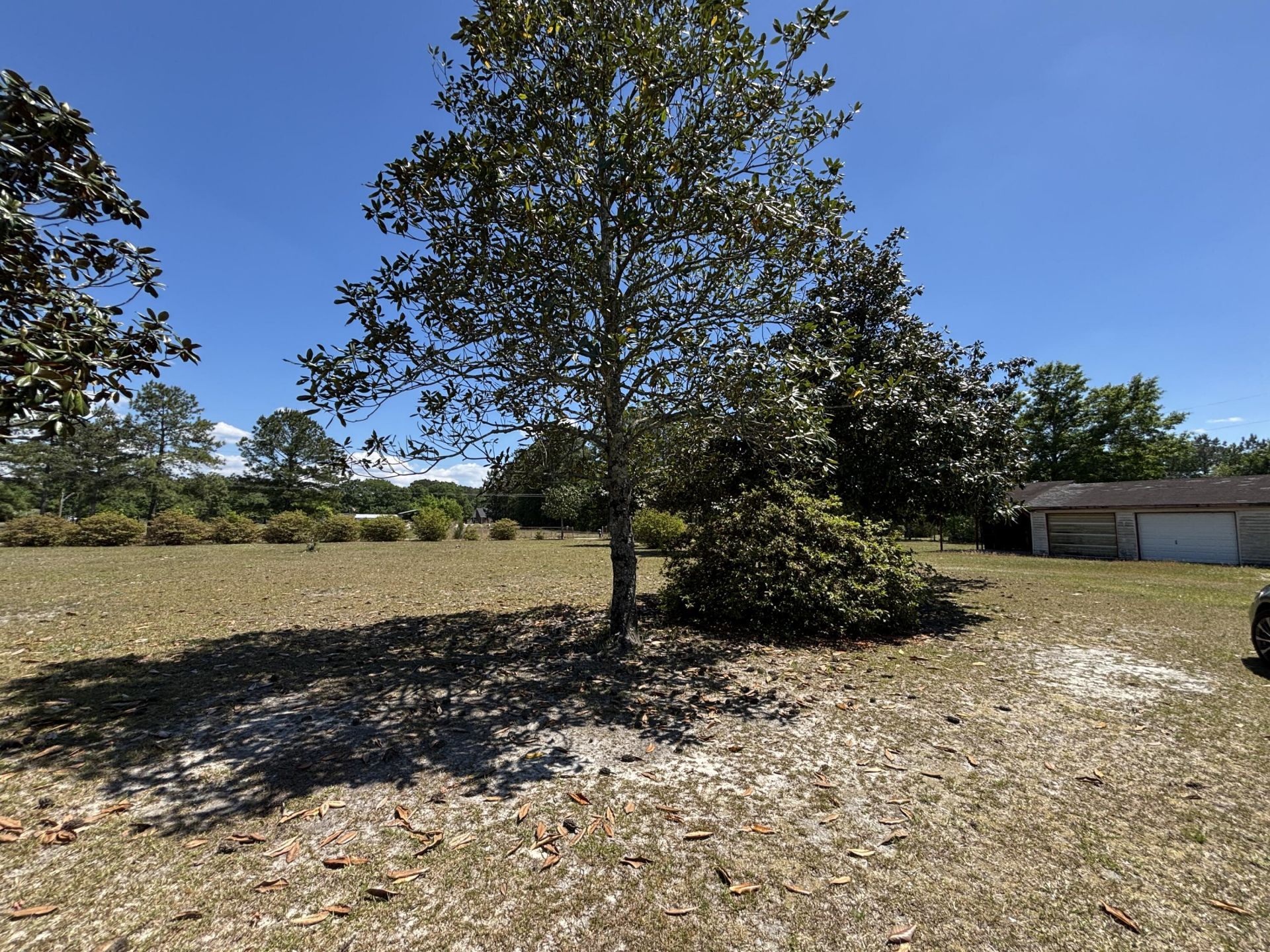 207 New Grade Road Photo 17
