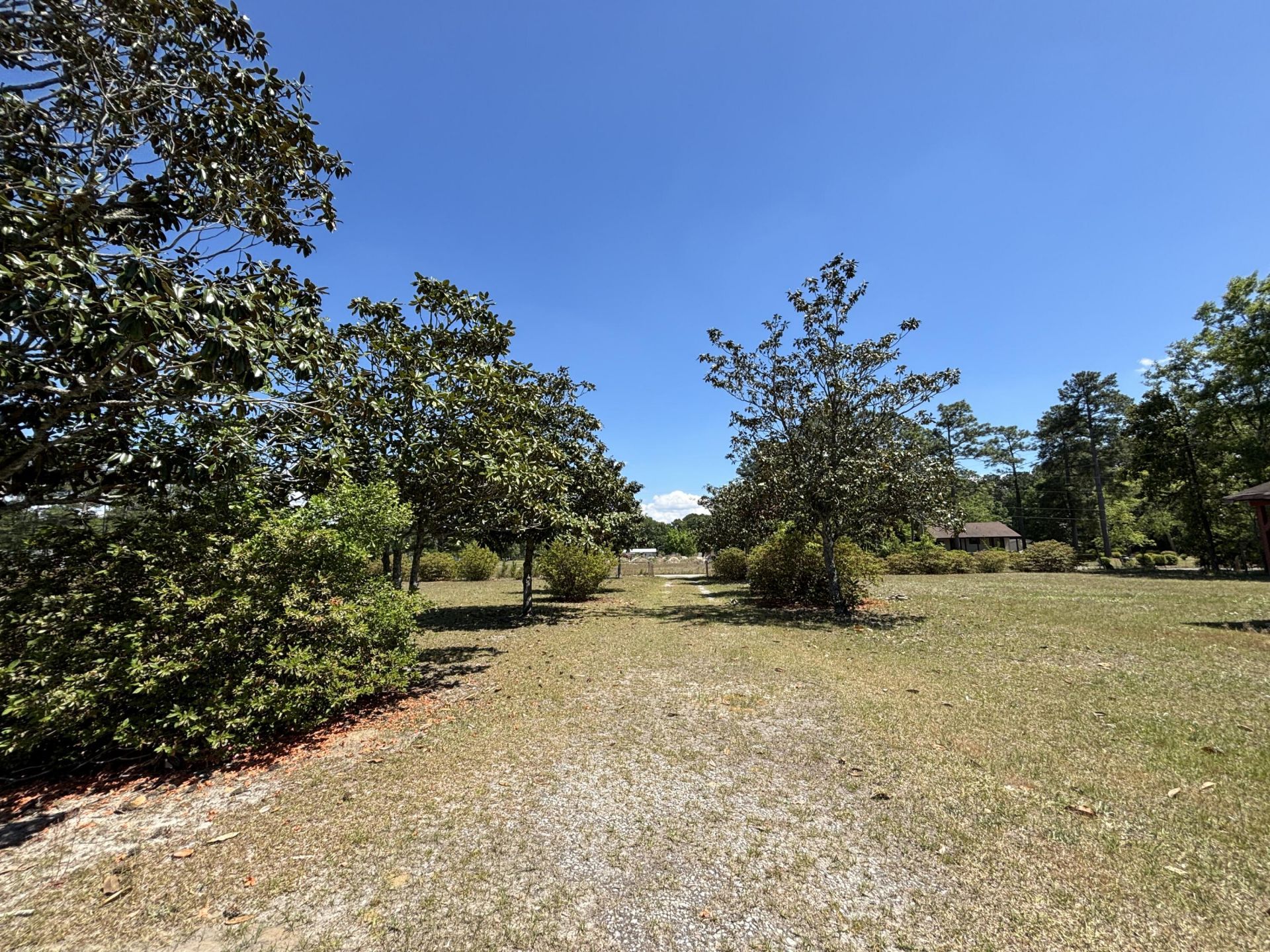 207 New Grade Road Photo 19