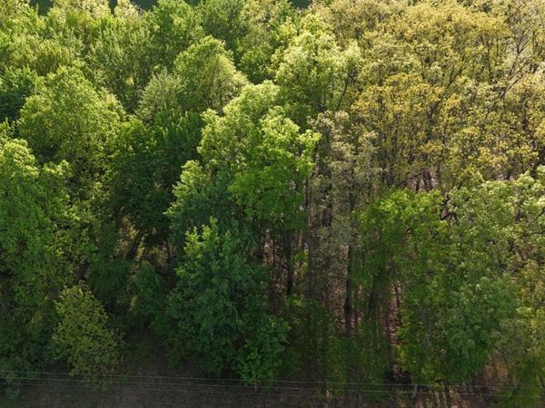 2942 Yuma Drive, Sardinia, OH 45171
