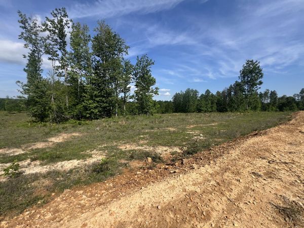 27 Pafford Lane , Erin, TN 37061