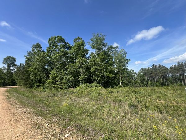 28 Pafford Lane , Erin, TN 37061