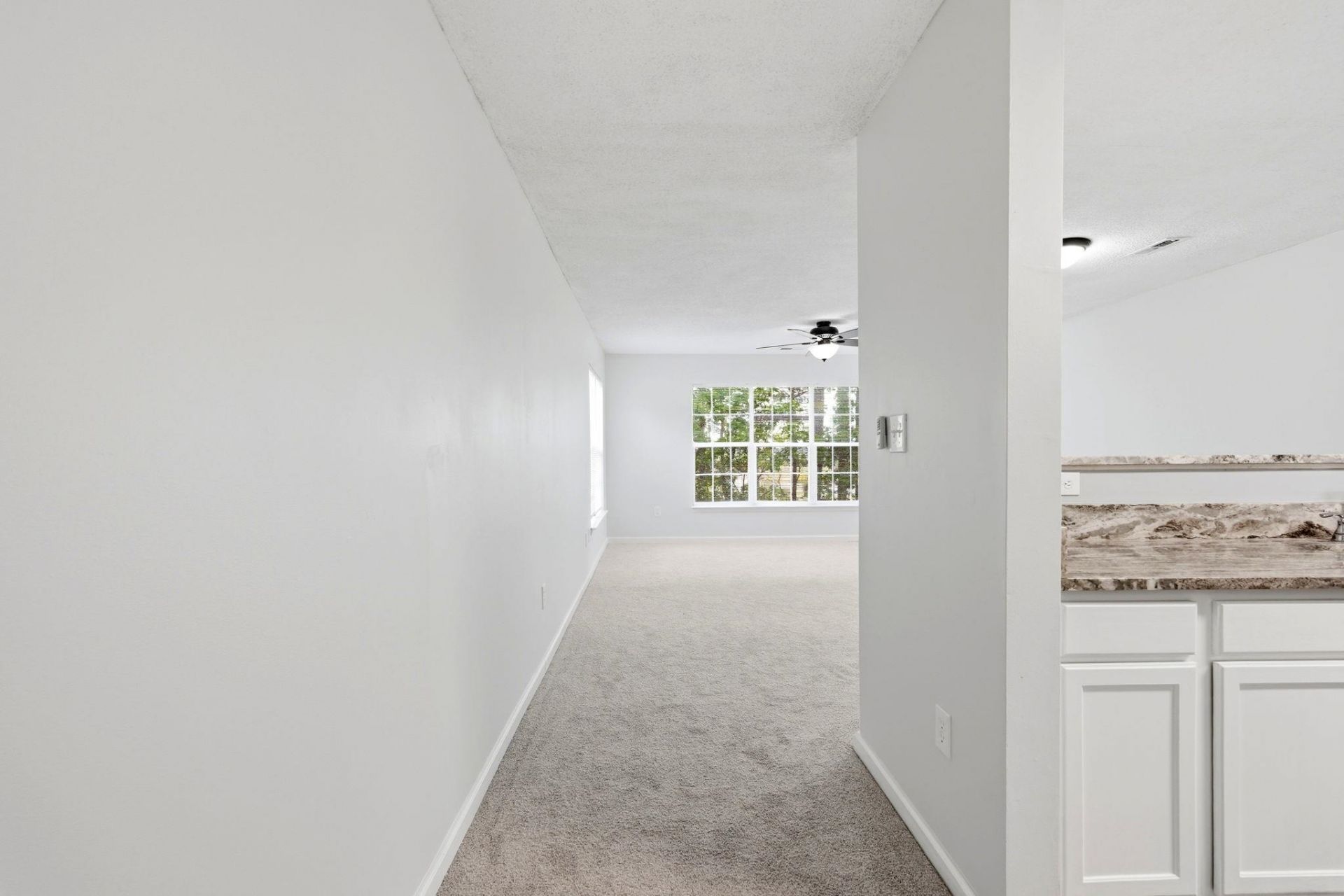 4243 Villas Dr. Photo 12