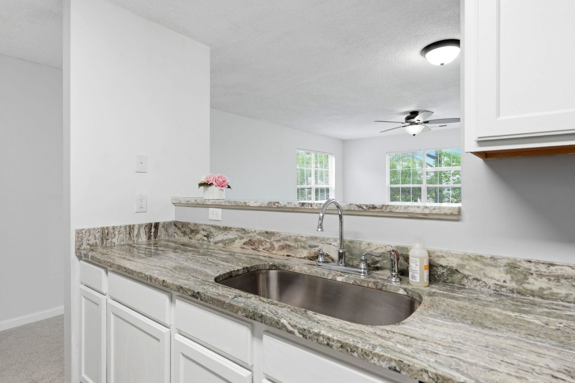 4243 Villas Dr. Photo 4