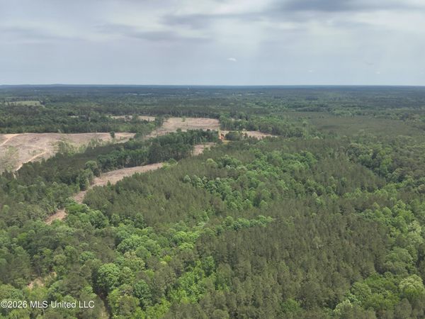 Smith County Rd 559, Pulaski, MS 39152