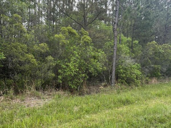 Lot 2 Leetown Road, Picayune, MS 39466