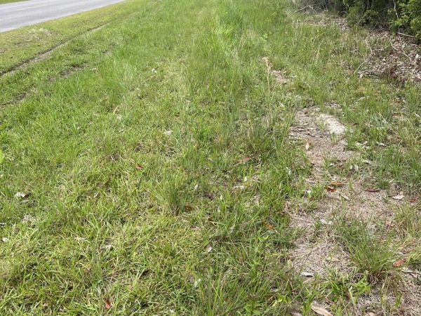 Lot 3 Leetown Road, Picayune, MS 39466