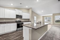 1021 Sease Garden Court  photo 4