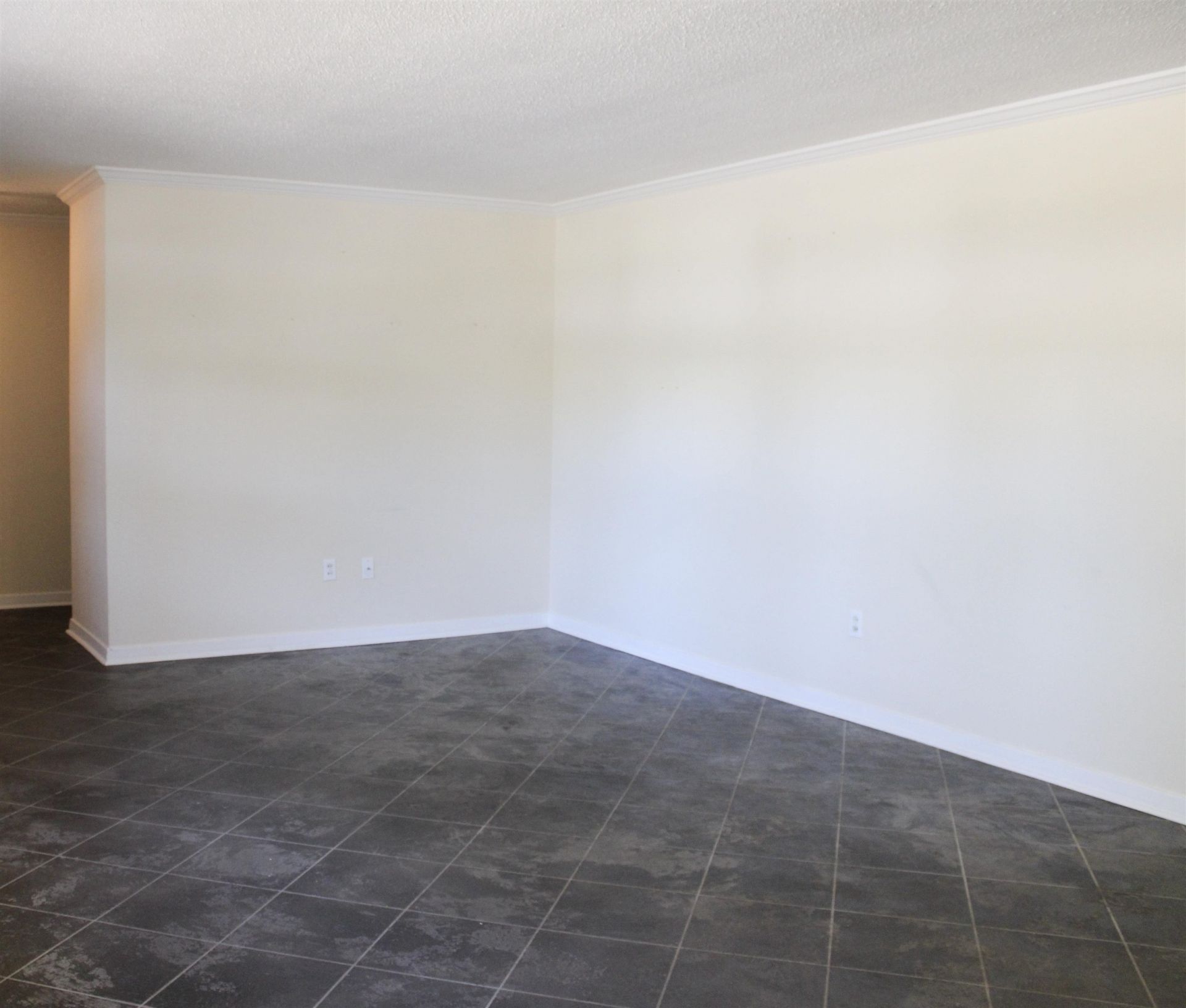 666 Mallard Lake Dr. Photo 12