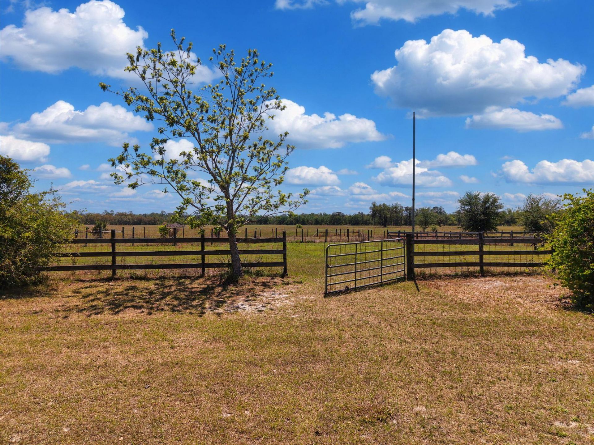 15270 Beach Road, Keaton Beach, FL 32348 Photo